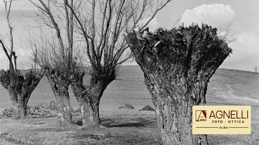 Archivio Aldo Agnelli preview